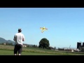 View Video