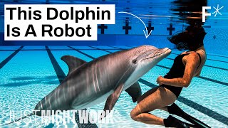 How robots could end animal captivity in zoos and marine parks