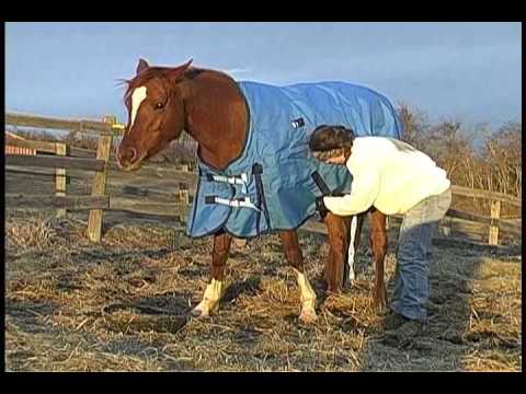 how to use a cooling blanket