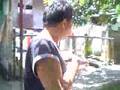 Food Trip