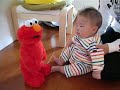 ????????????T.M.X Elmo???? ????????????T.M.X Elmo????