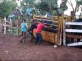 Mandioca x Bionico ...Treino na cia :DFF