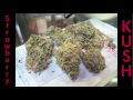 STRAWBERRY KUSH !!! The WEED Report : Episode #23