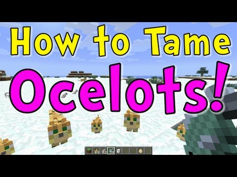 how to train your ocelot in minecraft