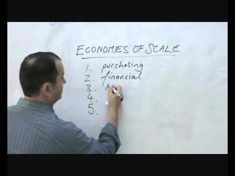 how to obtain economies of scale