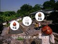 阿茶-溫泉篇(Japanese)