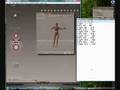 BVH Constraint for Poser