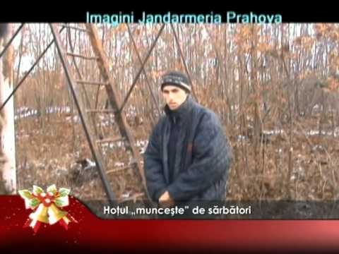 Hoţul „munceşte” de sărbători