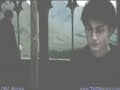 Vindicated- Harry Potter