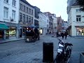 Horses in Brugge