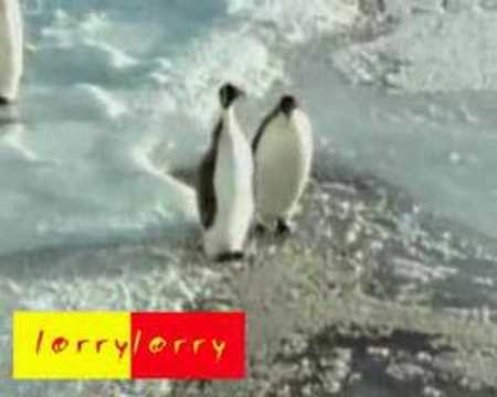 Pinguin