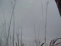 MVI_2648[1].AVI