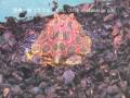 爬虫類部門 銀賞(2位)ベルツノガエル(Ceratophrys ornata)