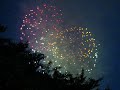 Sumidagawa Hanabi Taikai 2007