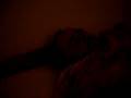 videos de Una noche en el cuarto de Pingü