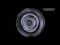 videos de Artists in Resonance