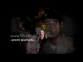 Casamento de Zenildes & Ademir
