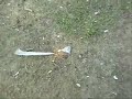 Sparkler Bombs