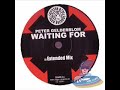 RHCP & Peter Gelderblom - Waiting 4 (Hi-Tack Remix) Manele-Gratis.net