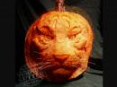 Pumpkin Carvings