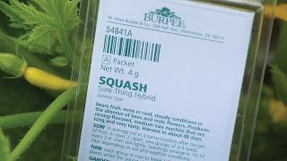 Planting ID Tags