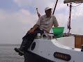 Zeekraal, zomer 2002