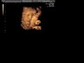 Lilah 4D Scan