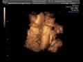 Lilah 4D Scan