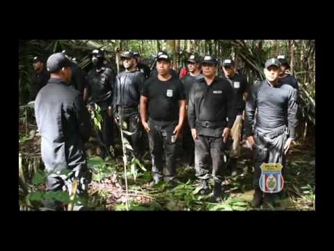 Curso de Operações Policiais Urbanas e Ações em Ambientes de Selva (Cops)