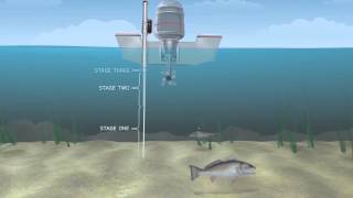 Singing Rock White NFPA Route 44 Static Rope 10.5MM 300' - Rescue Operations