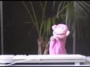 Uitnodiging voor De Lama's