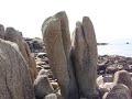 Isles of Scilly April 2008 (part three) St Agnes