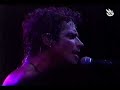 Chris Cornell - peace love & understanding live