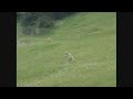 step stuntpiloot