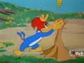 Pica Pau - Os Trabalhadores da Floresta