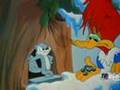 Pica Pau - Os Trabalhadores da Floresta