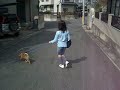 ????? swec780 DOG REO 2008/03/01