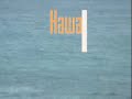 shaky cam work. if you look closely, the first scene is a pod of porpoises/dolphins(?), the second is a whale and baby whale off of the north shore of hawaii, the third is a whale off of san diego. set to music by the high llamas song is called 
