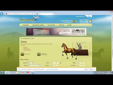 how to bid on howrse