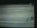 harbhajan singh elton chigumbura afro asia cup india chennai africa 2nd ODI cricket