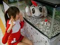 愛知県弥富市の弥富金魚のイメージソング。宇宙に行った金魚『宇宙金魚』としても有名な弥富金魚。イメージキャラクーターはきんちゃん。http://yatomikingyo.blog29.fc2.com/曲の制作は、キムチの気持ち・柳ケ瀬の歌作曲の小島勇司。中日新聞・アサヒコム・毎日新聞でも取り上げられました。