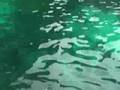 Fernanda mergulhando na MOSQUITO ISLAND - KOH PHIPHI - THAIL