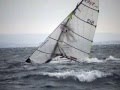 49er crashes