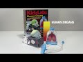 Miniature vidéo Kit de fabrication Kidzlabs : Organes humains