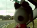 Snoopy Chronicles