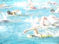 Bearathlon V - Wave 9 - Swim Start