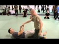 Systema Master Class 2011 - Martin Wheeler