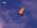 les pigeonniers de la cappadoce  partie 1/2  turquie