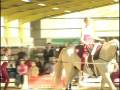 videos de Pflicht Team 3 in Drensteinfurt 19.10.2008