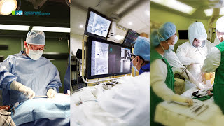 Сунчонхян- профессионализм и компетентность